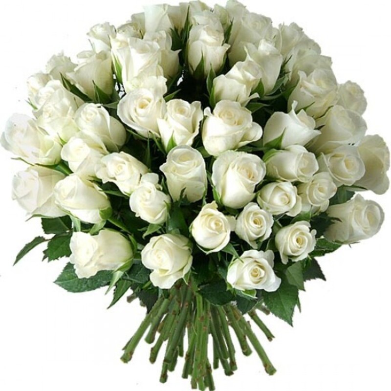 Белые розы Аваланж